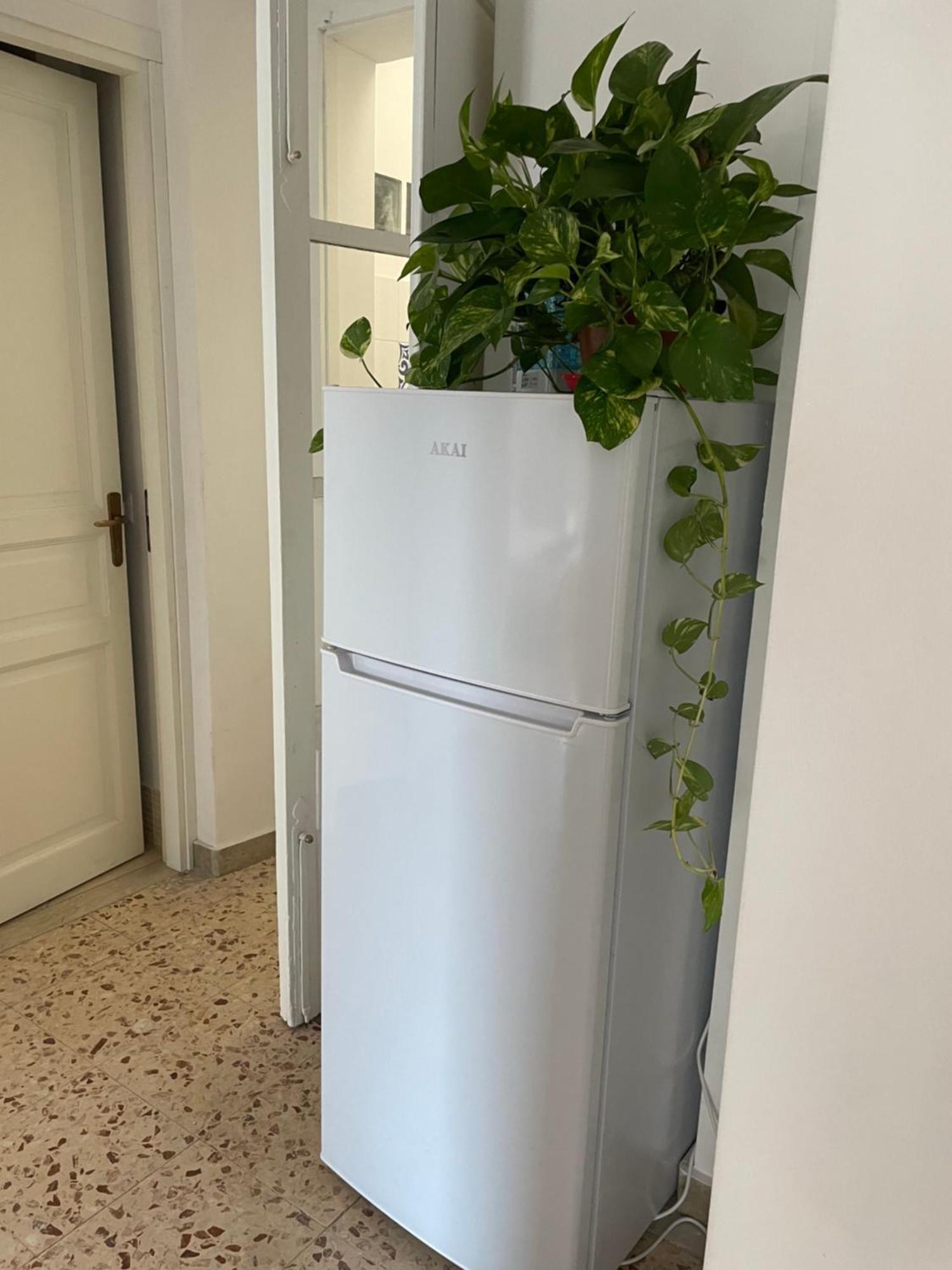 Lorenzo'S House Catania City Centre - Comfortable Large Apartment With 2 Bedrooms And 2 Baths, Close To Trains, Metro And Bus Station Extérieur photo